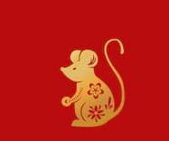 Shio Tikus 2024, Cerdas dan Penuh Kebijaksanaan Tarik Simpati