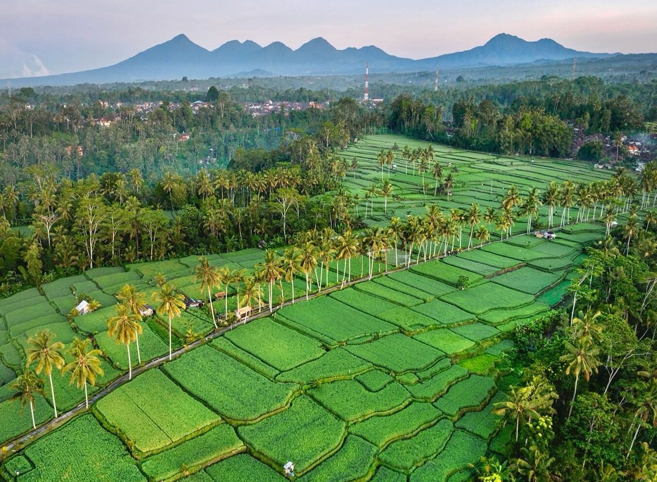 Ala Ayuning Dewasa 4 Maret 2026: Waktunya Memuja Dewi Sri, Hindari Pindah Rumah dan Ngaben!