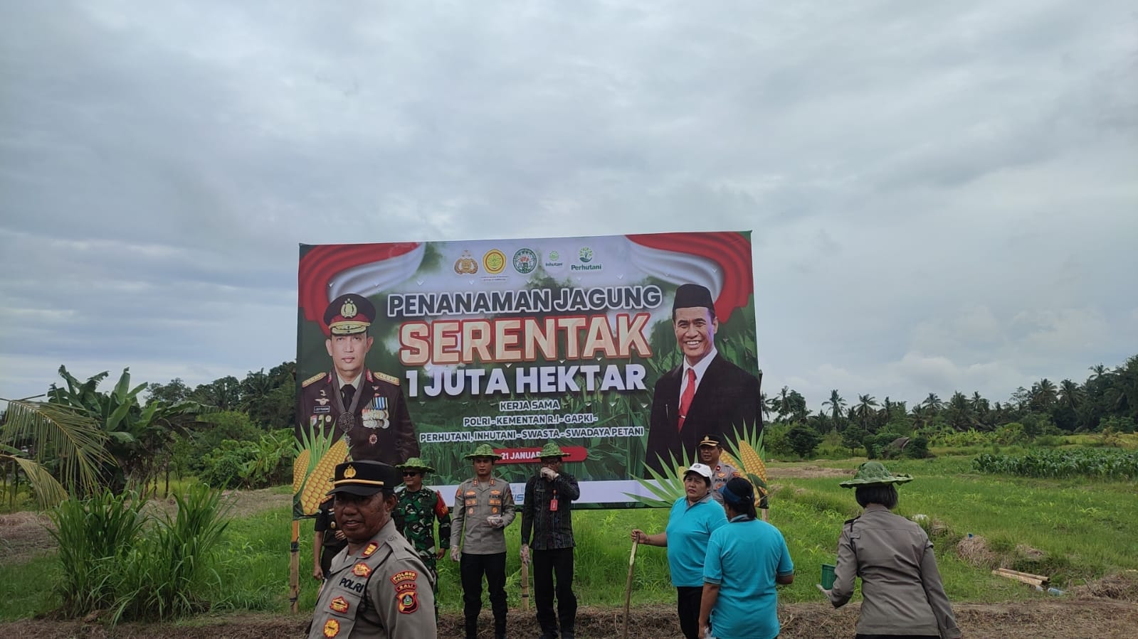 1 Juta Hektar Jagung untuk Ketahanan Pangan Nasional, Tabanan Dijatah 30 Ha