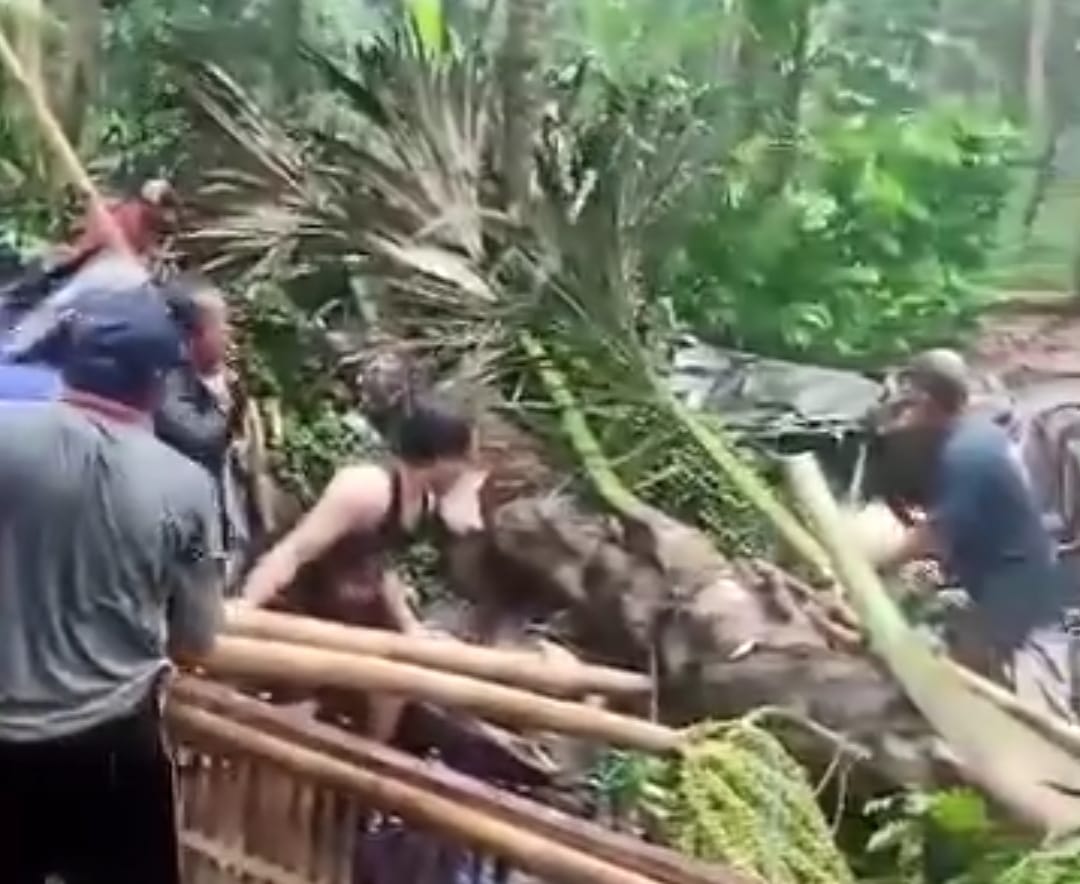 Tiga Meninggal, 6 Luka- Luka Tertimpa Pohon Aren di Bungaya, Karangasem