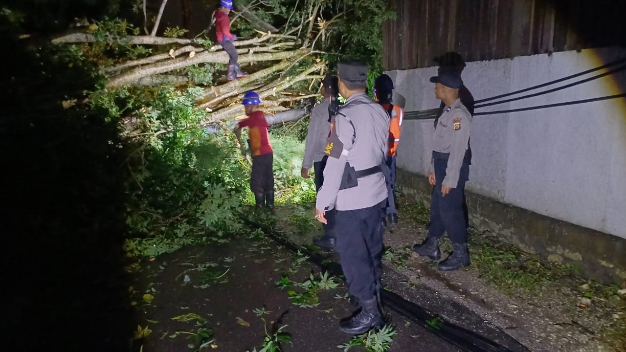 Pohon Tumbang di Uluwatu Timpa Dua Motor dan Tiang Listrik