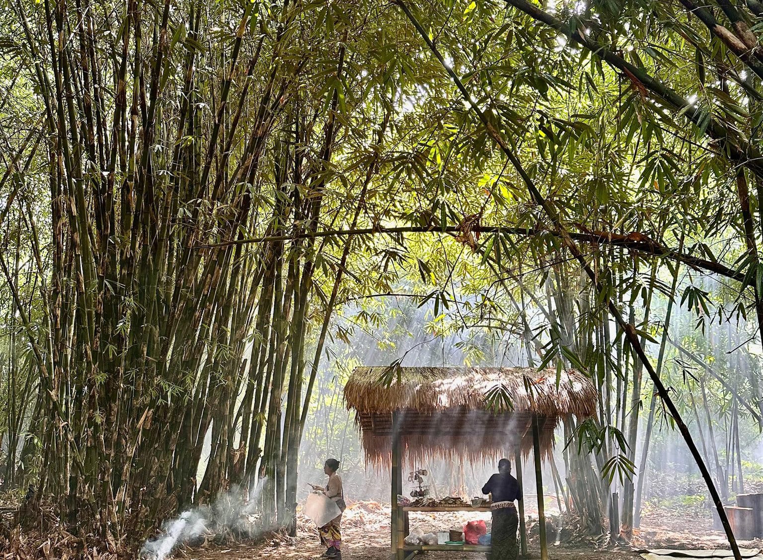 Selain Wisata, Bambu di Desa Panglipuran Bangli Juga Ladang Cuan untuk Atap Klasik