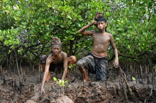 Kelahiran Sabtu Umanis Watugunung, Tidak Senang Teori – Suka Menghayal