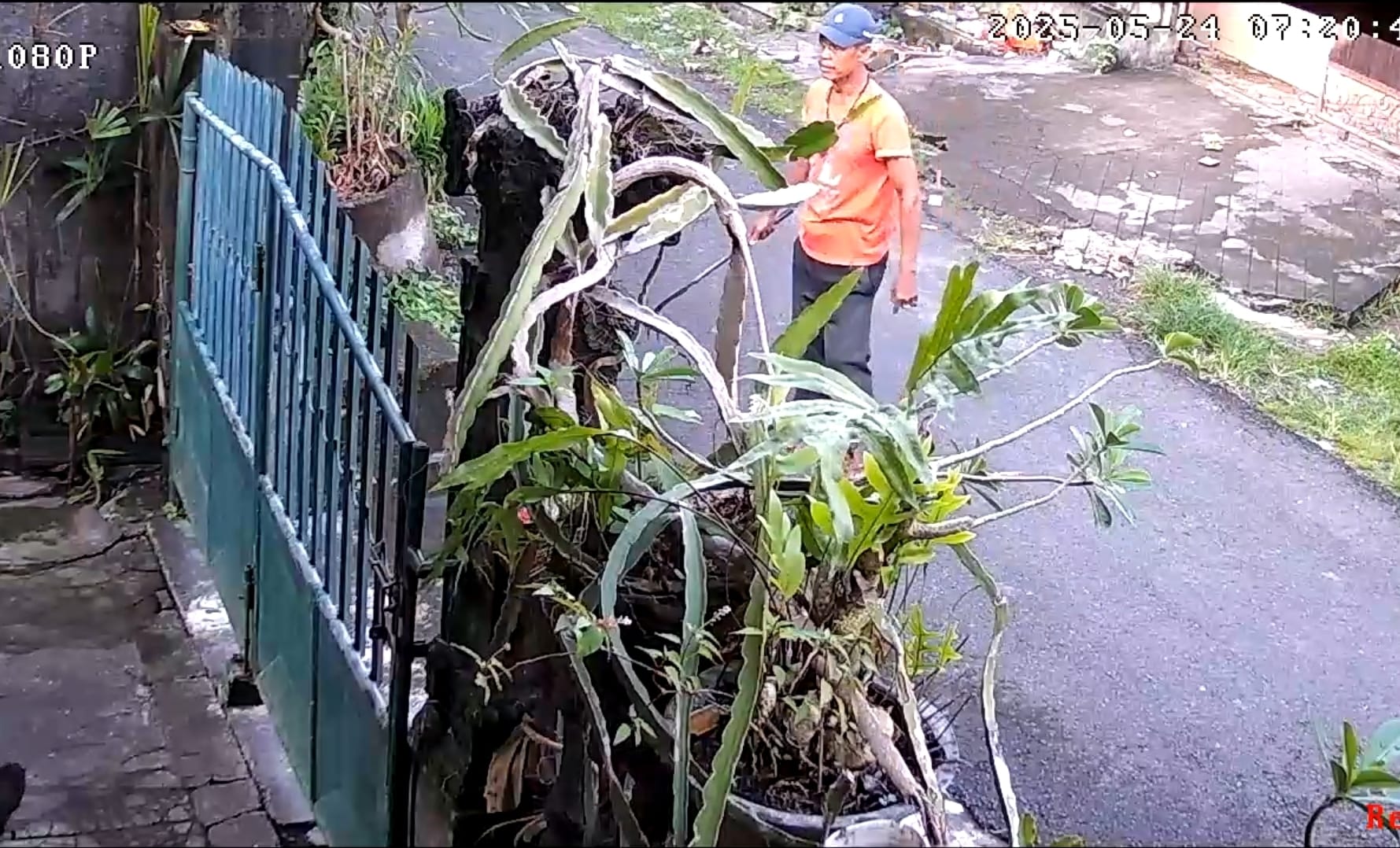 Viral Video Pengancaman dengan Sajam di Klungkung, Terlapor Diketahui Seorang Pensiunan Guru