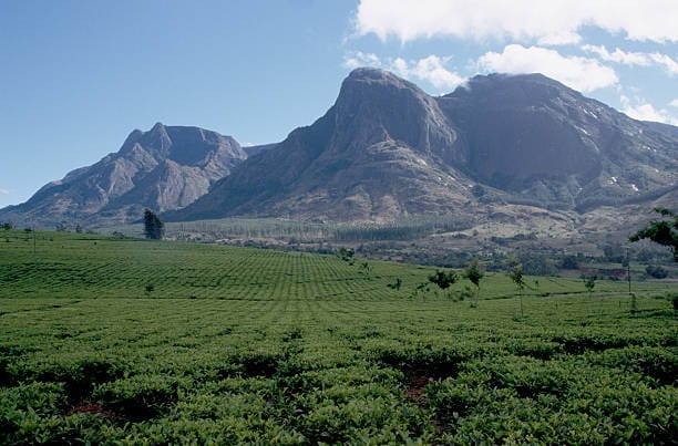 Kalimantan Barat Simpan Uranium 24.112 Ton, Indonesia Serius Bangun PLTN Mulai 2027