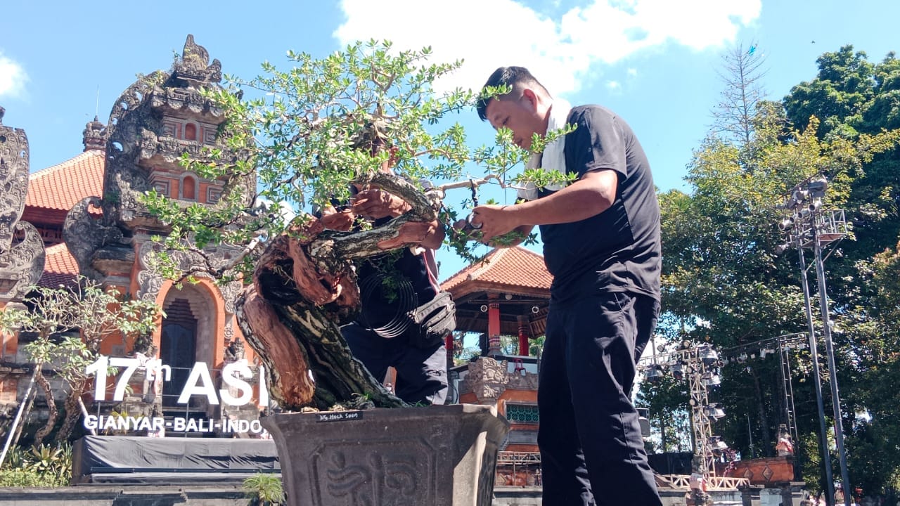 6 Trainer Internasional Berbagi Ilmu Bonsai di Aspac Gianyar, Tampilkan Teknik dari Alam ke Seni