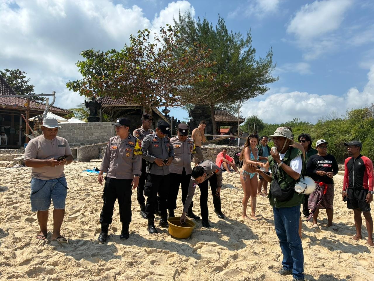 Antusias, Wisatawan Ikut Lepas 500 Tukik Spesies Langka di Pantai Dream Beach Lembongan
