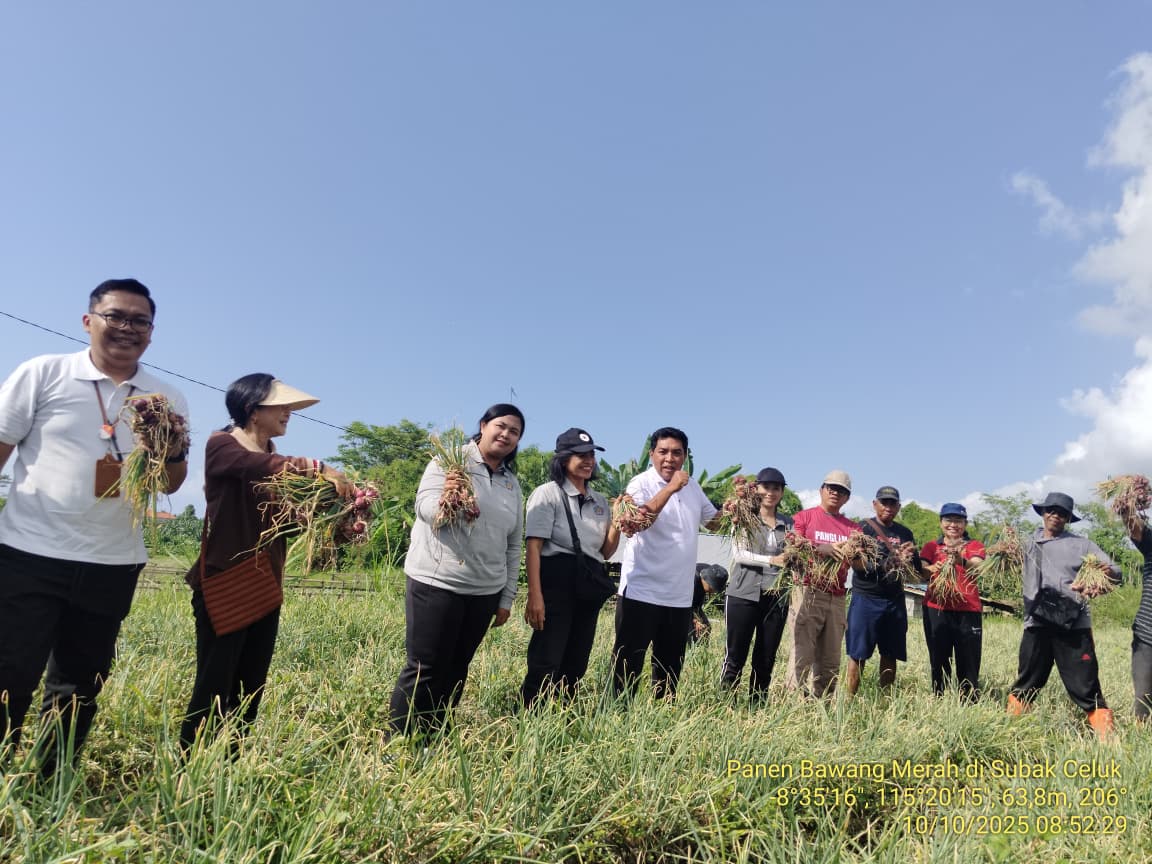 Desa Medahan Diproyeksikan Jadi Lumbung Bawang Merah Gianyar