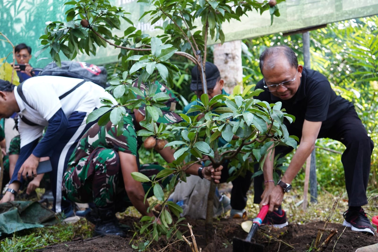 35.750 Bibit Pohon Ditanam Serentak di Seluruh Bali
