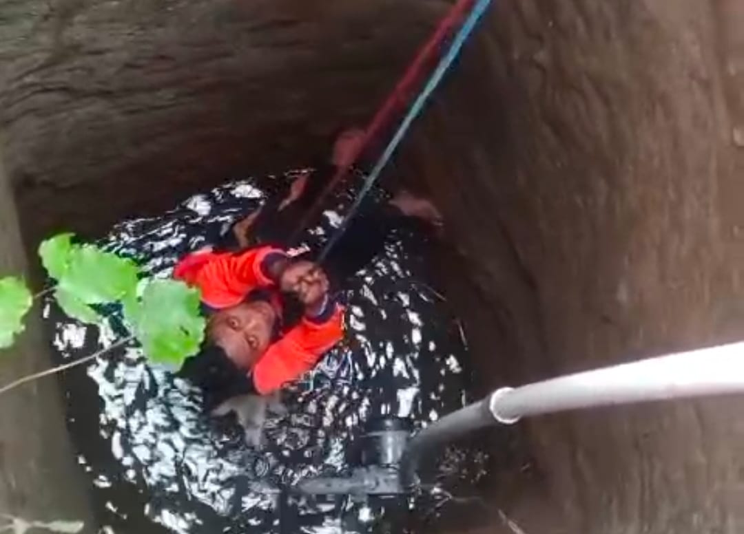 Anjing Jatuh ke Sumur 15 Meter di Klungkung, BPBD Berhasil Evakuasi