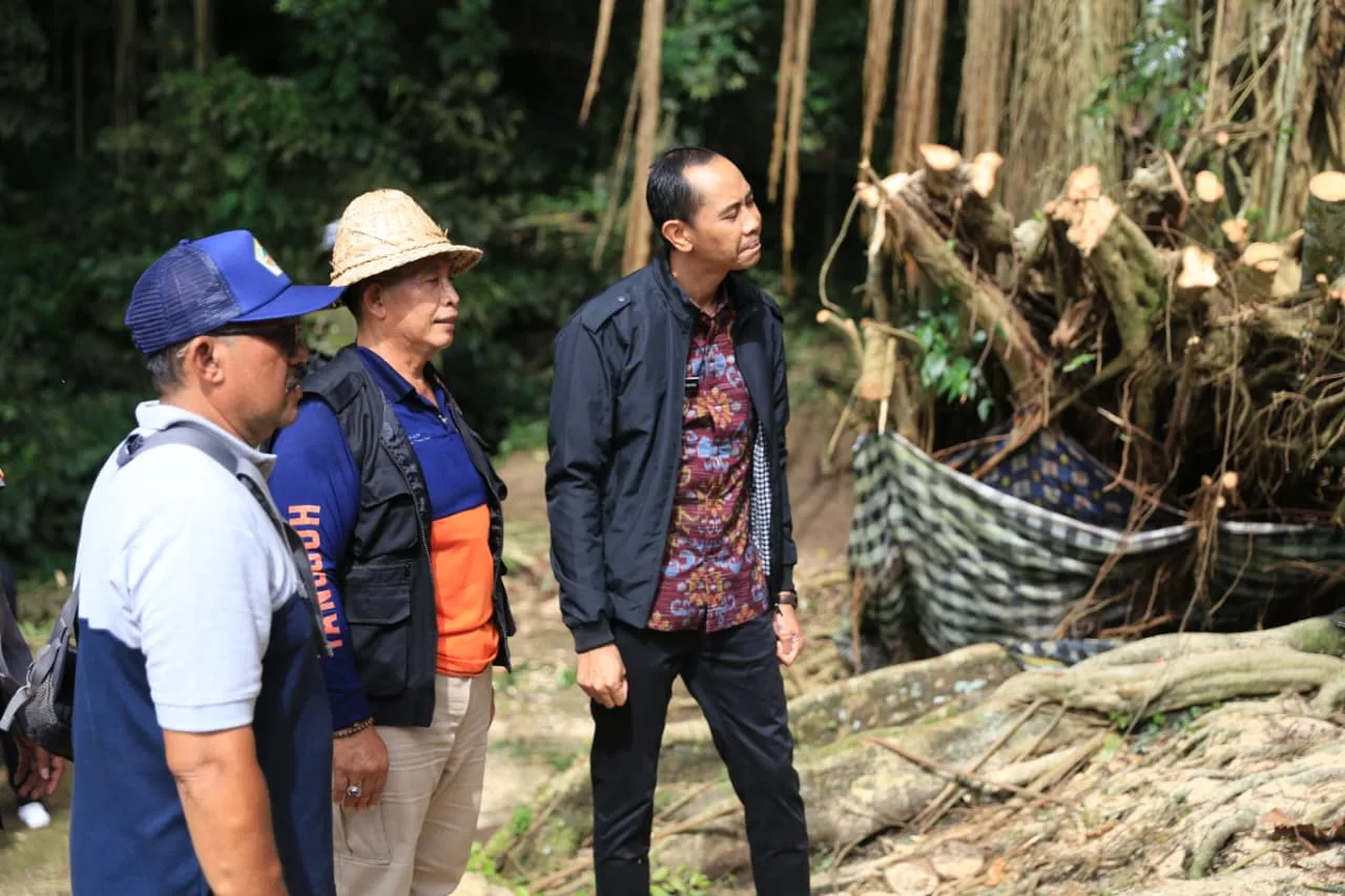 Cuaca Ekstrem, Pohon Beringin Roboh Putuskan Akses Jalan di Getakan