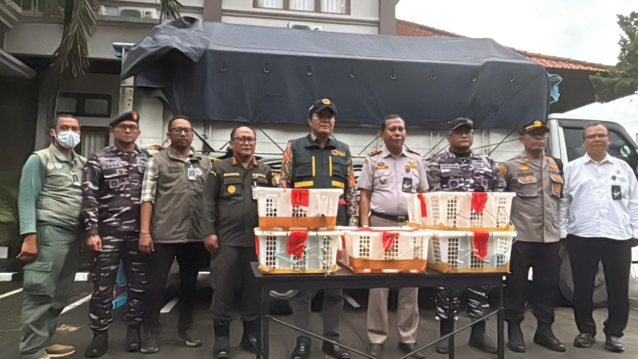 Pelabuhan Padangbai Jadi Jalur Penyelundupan, 7.355 Burung Disita