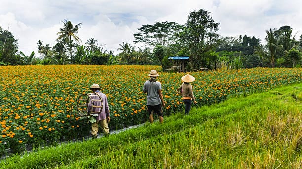 Ala Ayuning Dewasa 7 Januari 2026: Baik untuk Bangun Rumah dan Aturan, Hindari Bercocok Tanam