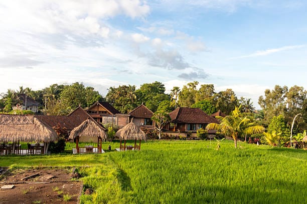 Ala Ayuning Dewasa 20 Januari 2026: Waspada Membangun Rumah, Baik untuk Pekerjaan Berunsur Api