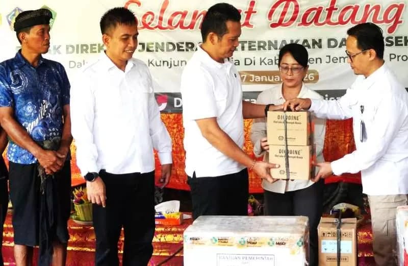 Kementan–Pemkab Jembrana Percepat Penanganan Penyakit LSD pada Sapi