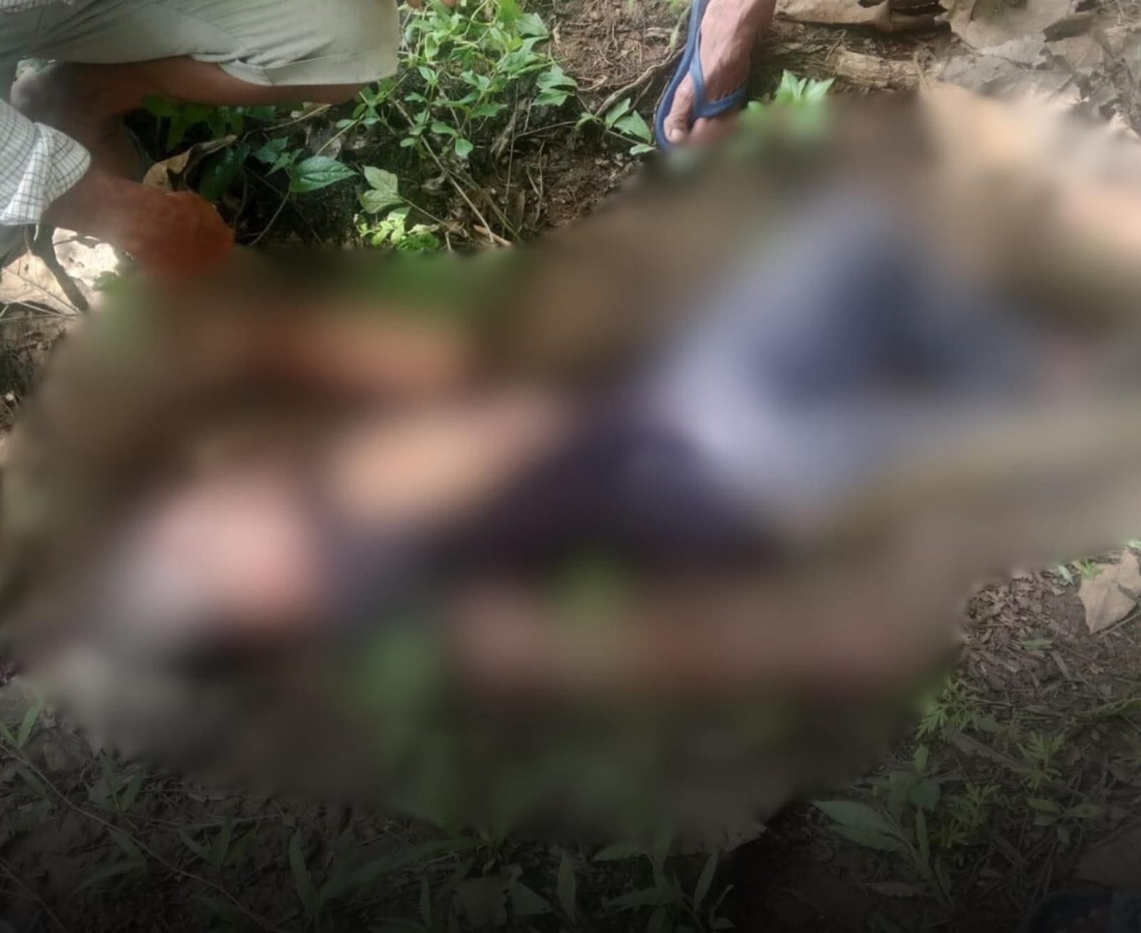 Suami Tewas di TKP, Istri Meninggal di Puskesmas: Tragedi Serangan Tawon di Mendoyo