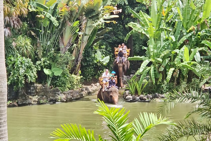 Di Bali Zoo Kini Tidak Ada Lagi Atraksi Gajah Tunggang, Dukung Konservasi Berkelanjutan