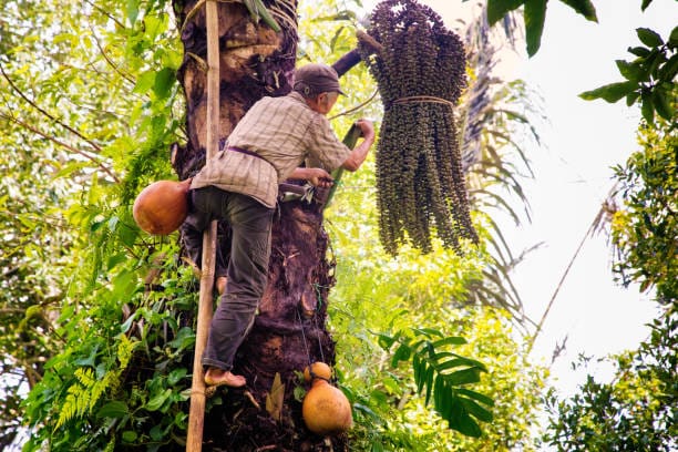 Cek Dewasa Bali Hari Ini: 13 Januari 2026 Kurang Baik untuk Manusa Yadnya