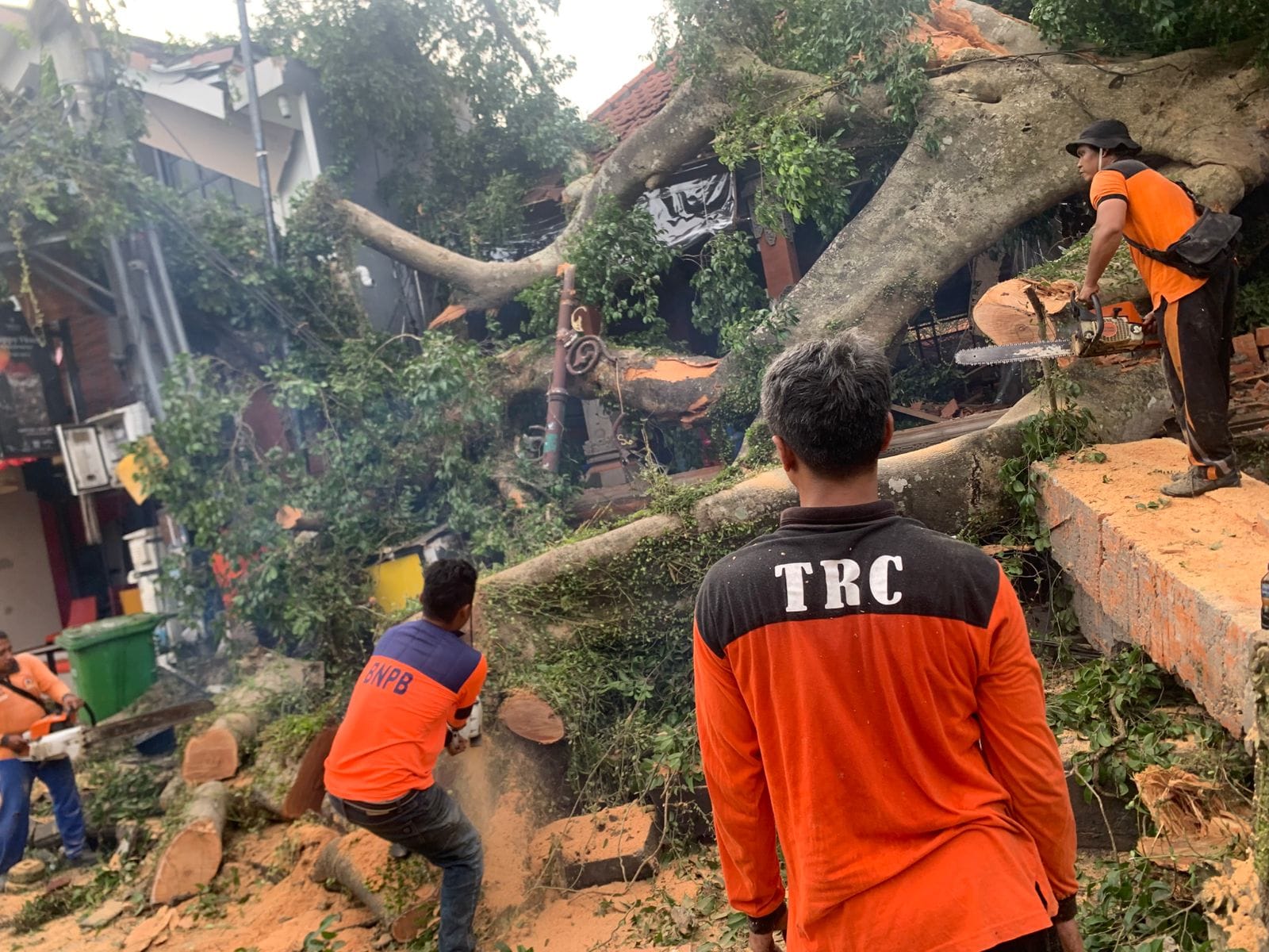 Saksi Sejarah 3 Abad Tumbang ! Beringin Keramat Puri Kantor Ubud Roboh Timpa Mobil dan Bangunan