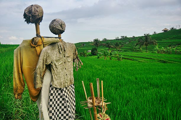Memahami Siklus Triwara: Panduan Bijak Mengelola Finansial, Organisasi, dan Sosial dalam Budaya Bali