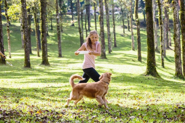 Februari 2026: Daftar Tanggal Merah, Cuti Bersama, dan Hari Penting yang Wajib Kamu Tahu