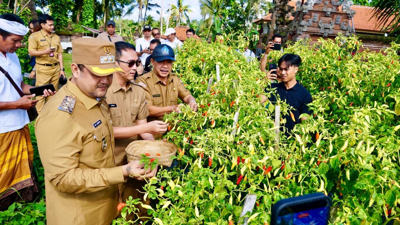 Gus Bota Turun ke Sawah & Kandang Ayam, Pastikan Dapur Warga Badung Tetap Ngebul Jelang Hari Raya!