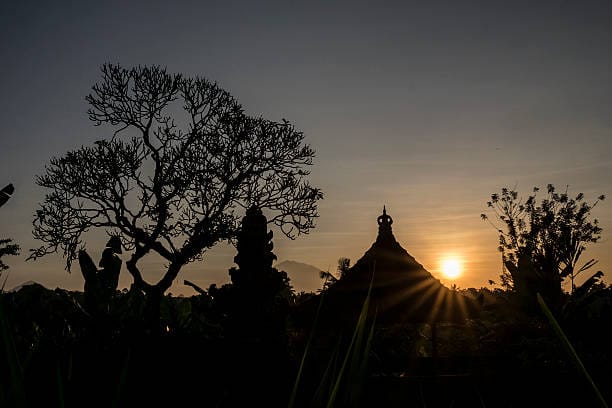 Kopi Pagi Bukan Sekadar Gaya Hidup, Sains Buktikan Kafein Jadi ‘Ramalan’ Seberapa Sukses Hari Anda!