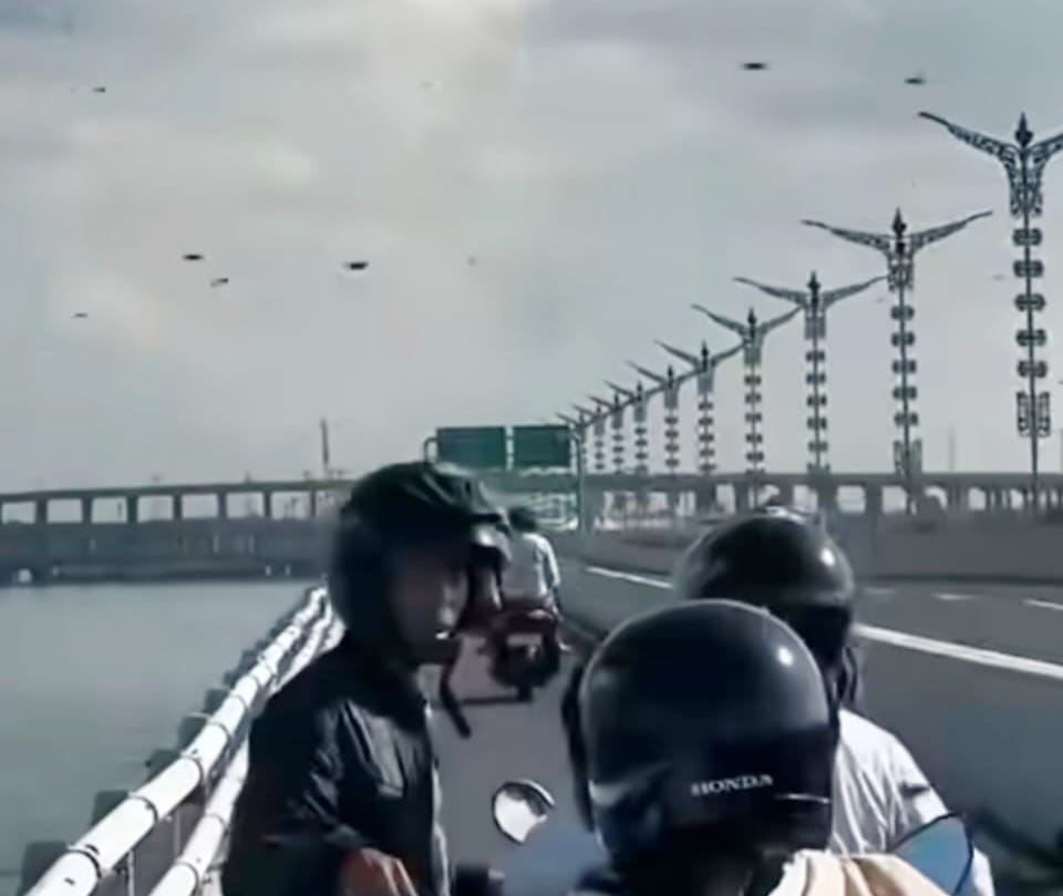 Kawanan Lebah Serbu Tol Bali Mandara, BKSDA Bali Sebut Akibat Perubahan Cuaca