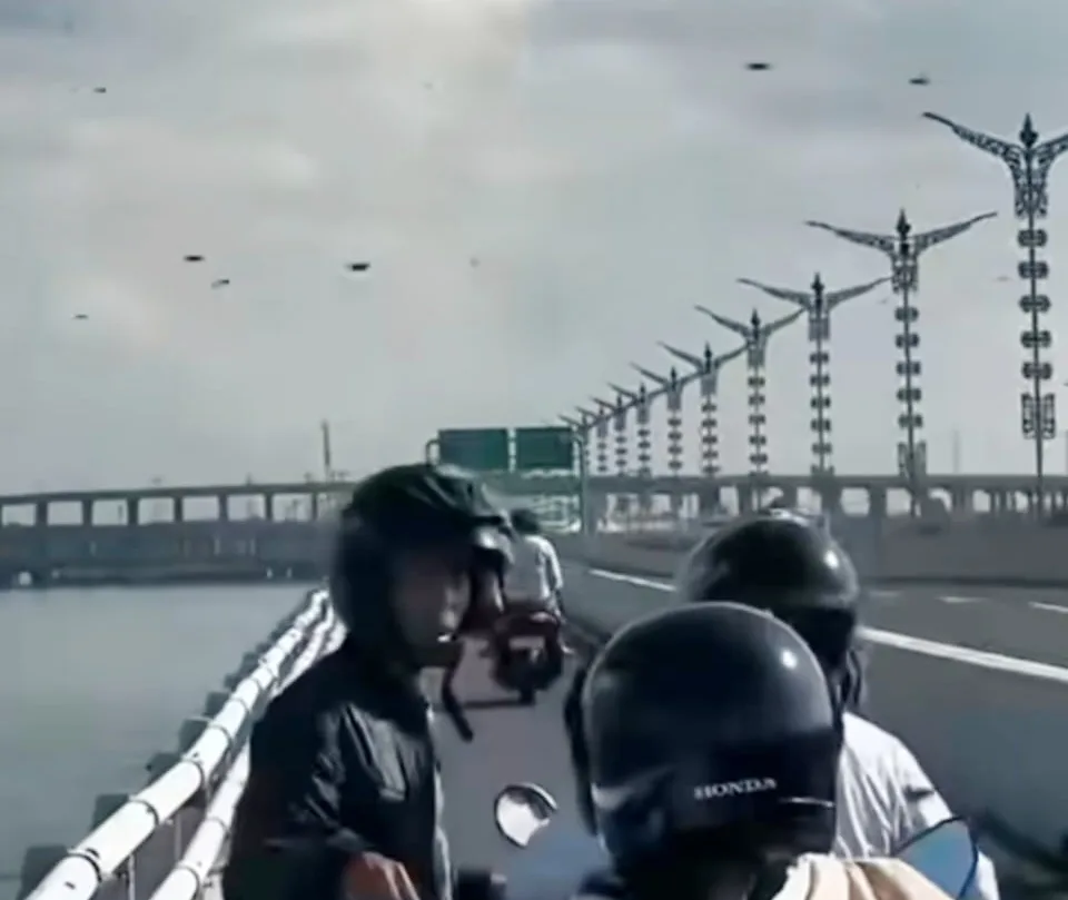 Kawanan Lebah Serbu Tol Bali Mandara, BKSDA Bali Sebut Akibat Perubahan Cuaca