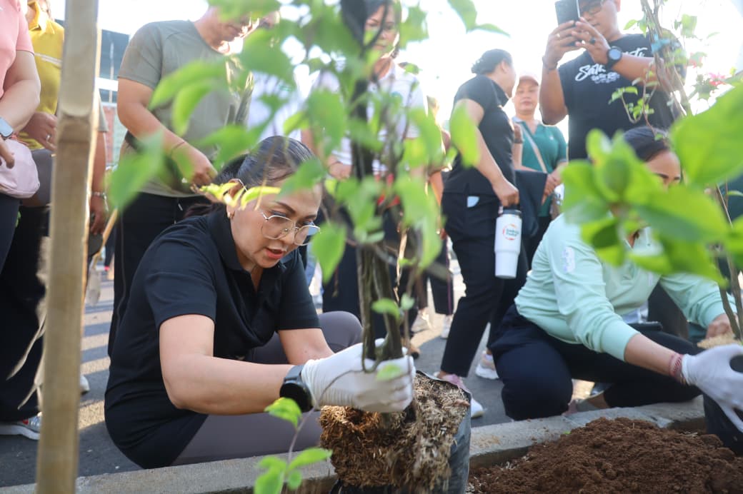 Ubah Wajah Kuta Utara, 150 Pohon Bugenvil Semarakan Jalan Pengubengan Kangin