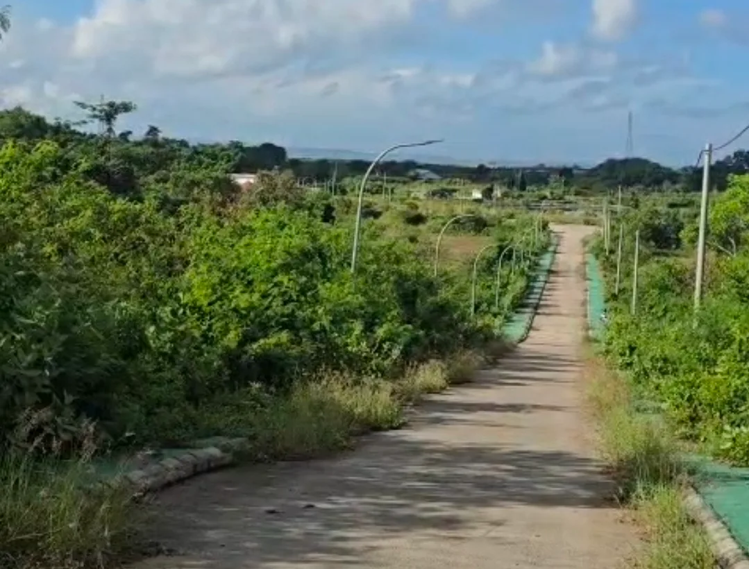 Sampah Organik Dibuang di PKB Klungkung, Ketua DPRD Bali Sebut Anggaran Rp 400 Miliar