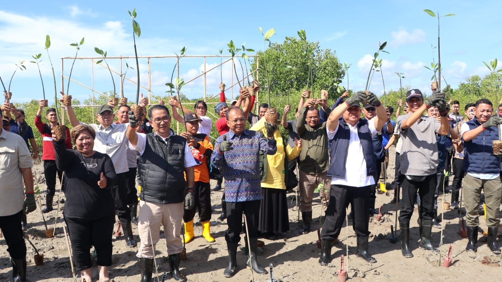 Darurat Abrasi, Gubernur Koster dan Kemendagri Tanam Mangrove di Denpasar