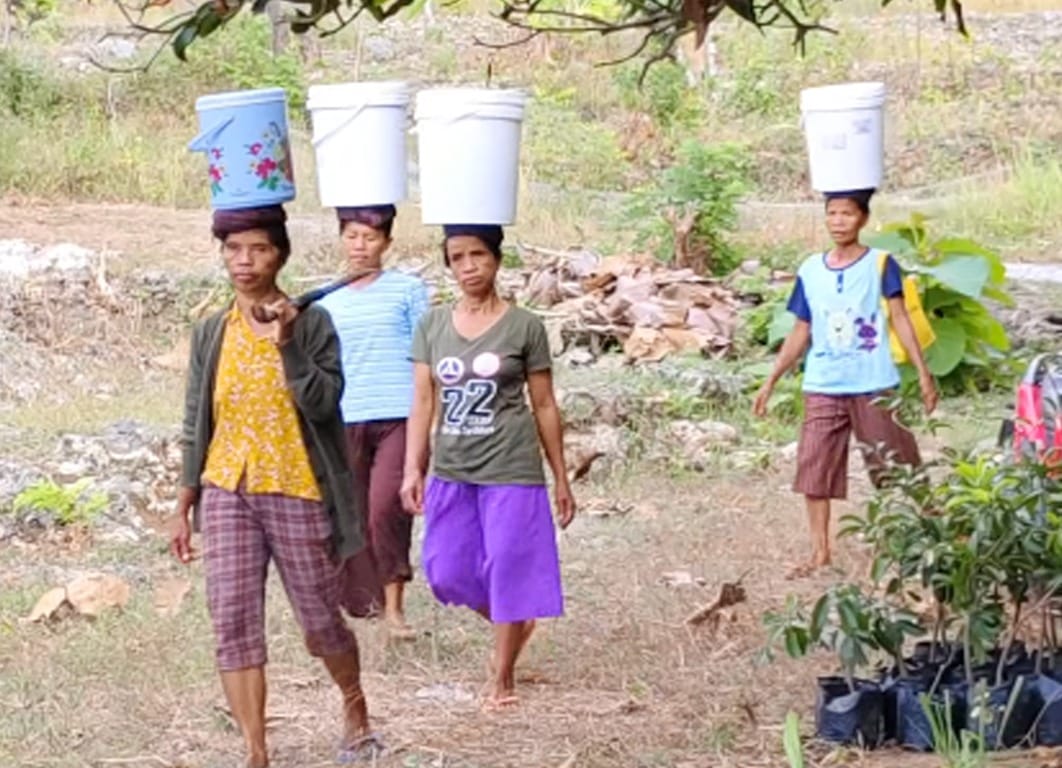 Ancaman “El Nino Godzilla” 2026, Warga Waspada Krisis Air dan Kebakaran