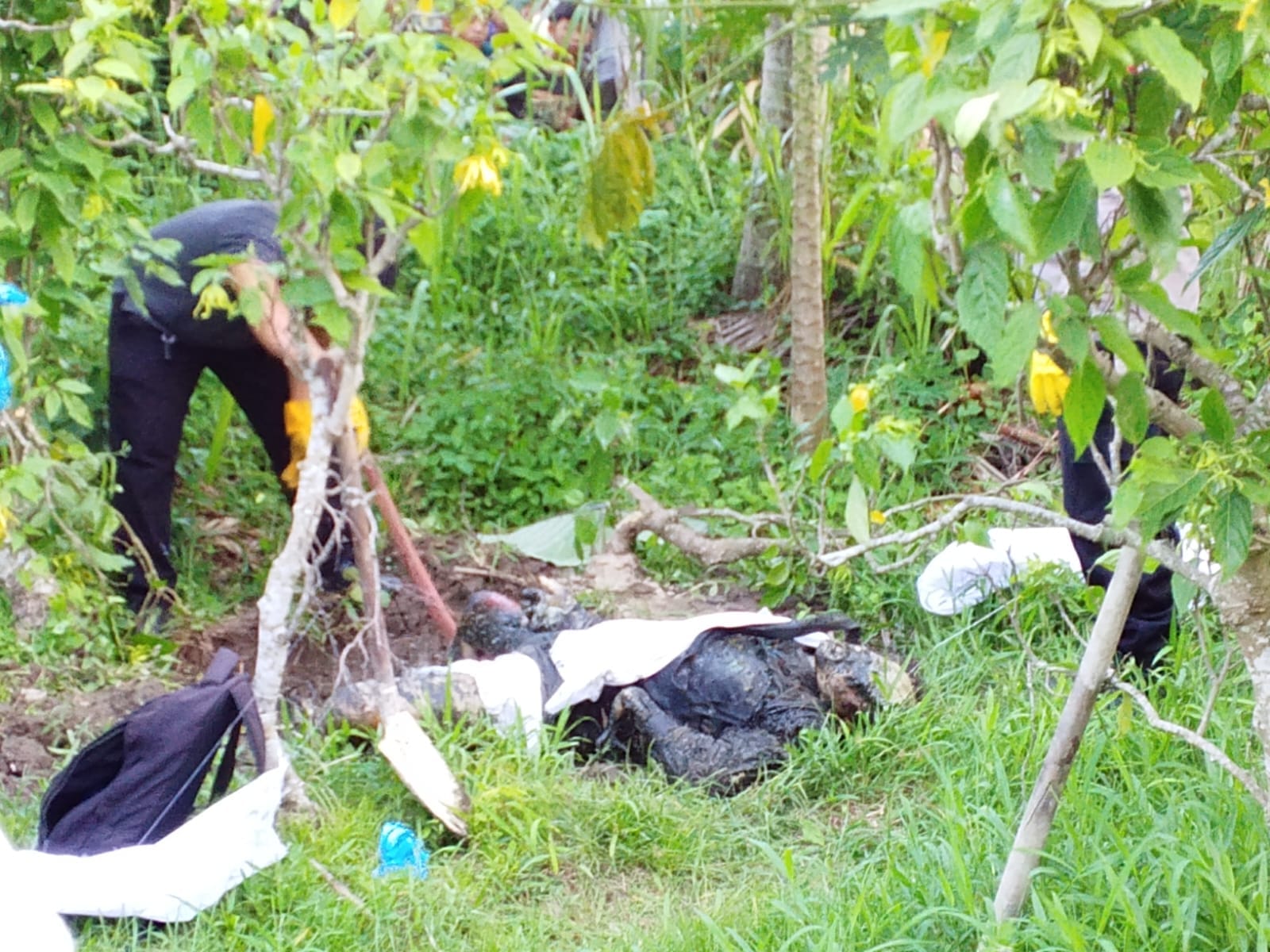 Jasad Pria Terkubur di Lahan Kosong Darmasaba, Polisi Temukan Cangkul dan Indikasi Kuat Pembunuhan
