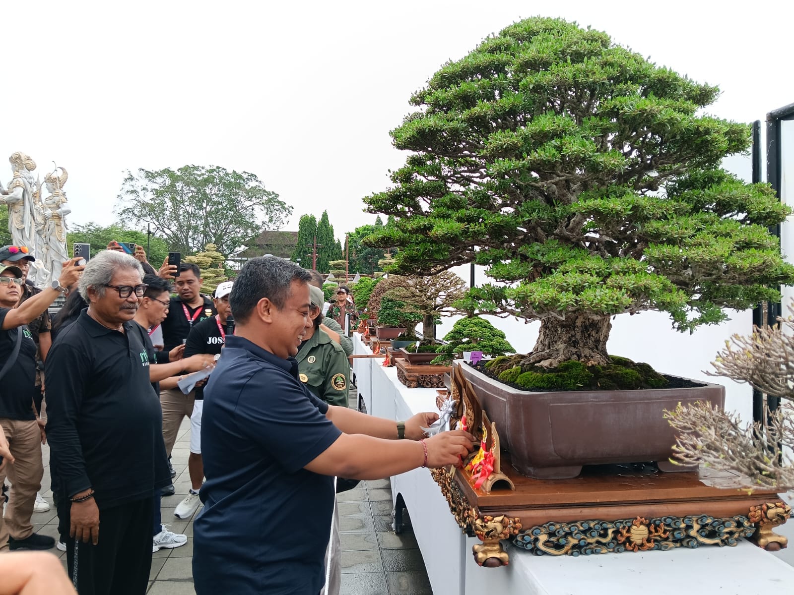 Pameran Bonsai ‘Bertabur Bintang’ Guncang Gianyar! 618 Pohon Jawara dari Jawa Hingga Lombok Berkumpul