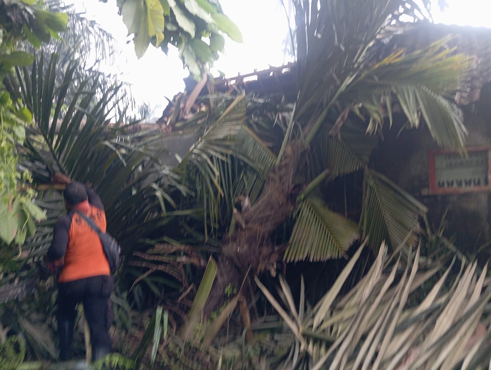 Atap Rumah Gede Sumerta Hancur Tertimpa Pohon Saat Hujan Deras di Klungkung