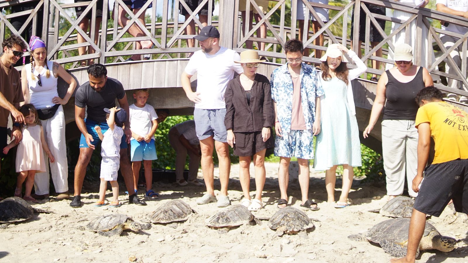 Seven Dreams Nusa Penida, Rehabilitasi 14 Penyu hingga Restorasi Karang di Hari Jadi Perdana