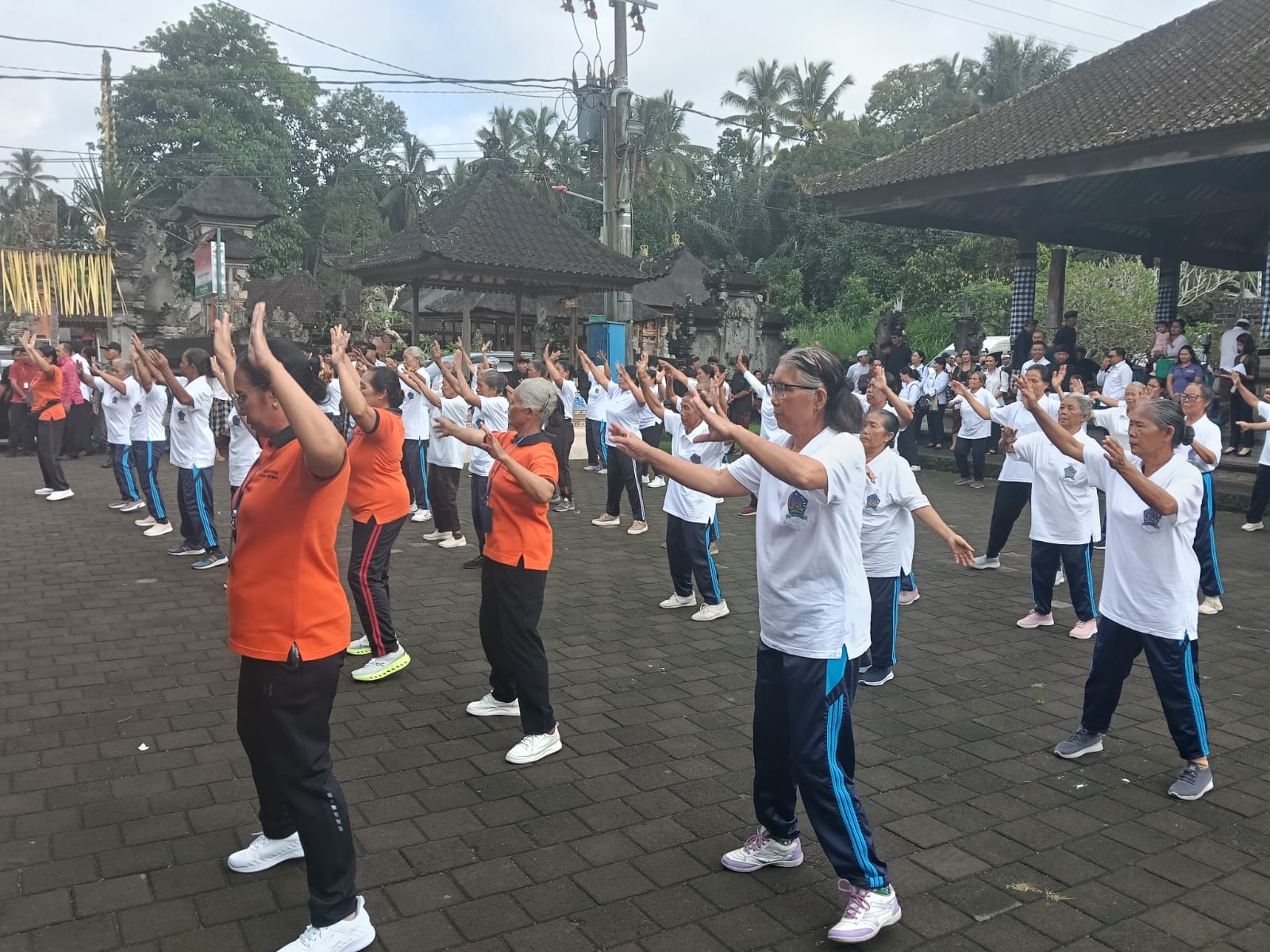 Angka Harapan Hidup Meningkat, TP PKK Gianyar Gencarkan Sosialisasi Pemberdayaan Lansia Sehat dan Mandiri di Tegallalang
