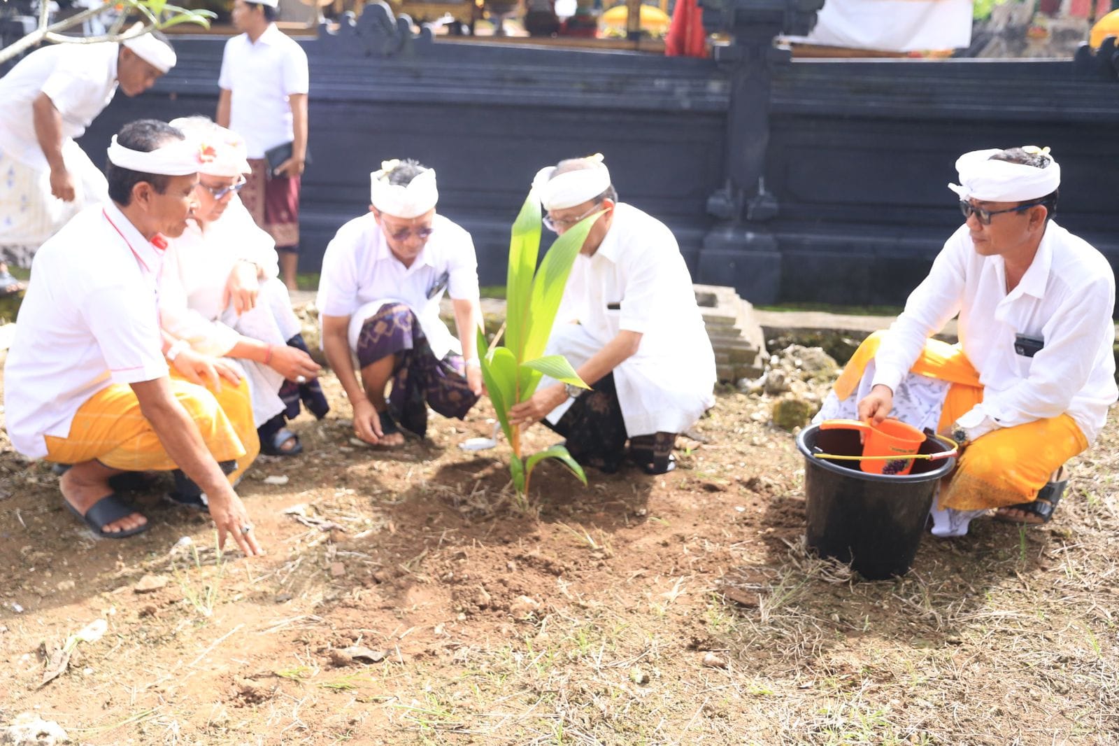 Pusatkan Tumpek Wariga di Nusa Penida, Koster-Satria Tanam Kelapa di Pura Penataran Ped