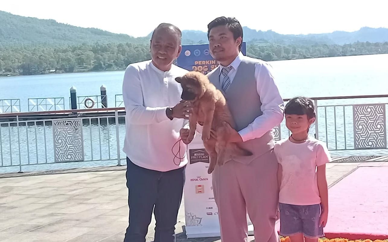 Diserbu Peserta Luar Bali, Kontes Anjing Kintamani Digelar di Pinggir Danau Batur