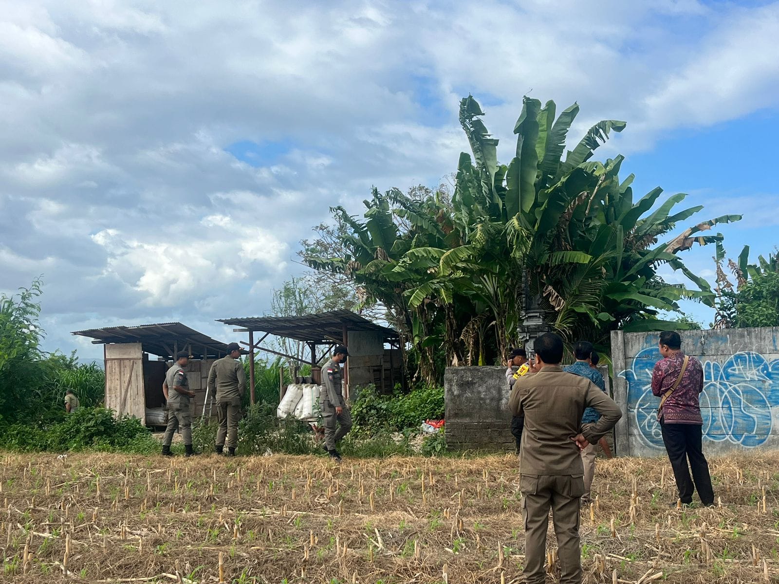 Dikirim ke Jawa untuk Pakan Ternak, Bisnis Bulu Ayam di Pantai Watu Klotok Disetop Mulai 5 Juni 2026