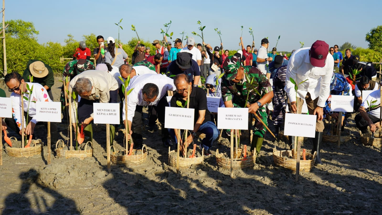 Targetkan Pulihkan 18 Hektare Lahan Pesisir yang Rusak, Menteri LH dan Gubernur Koster Tanam Mangrove di Denpasar