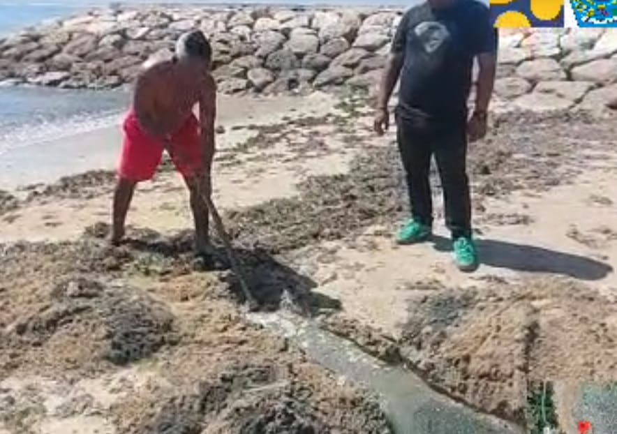 Viral Air Limbah Pekat di Pantai Segara Sanur, PUPR Denpasar Turunkan Alat Berat Pagi Ini