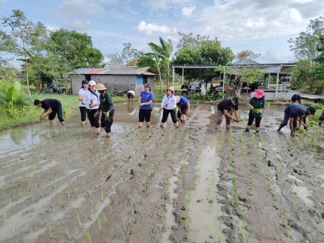Ala-Ayuning Dewasa Senin 19 Oktober 2026 : Baik untuk Memulai Usaha dan Pertanian, Hindari Upacara Utama dan Atiwa-tiwa