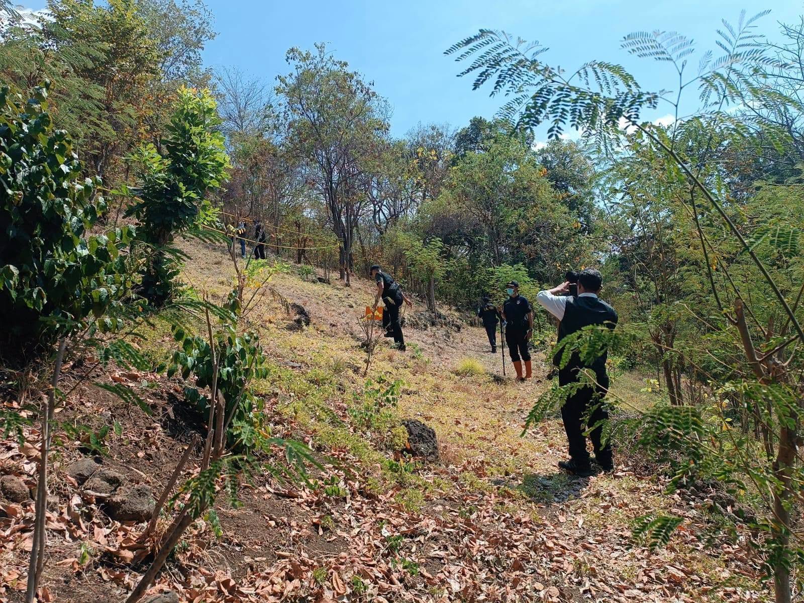 Selidiki Penyebab Kebakaran Hutan di Banyupoh Gerokgak, Tim Labfor Polda Bali Turun Olah TKP