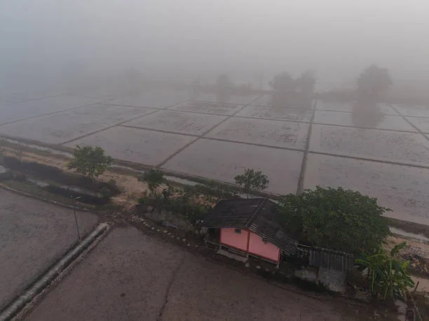 Peringatan Dini BMKG 21 Juli 2026: Denpasar dan Badung Diguyur Hujan Lebat Sejak Pagi