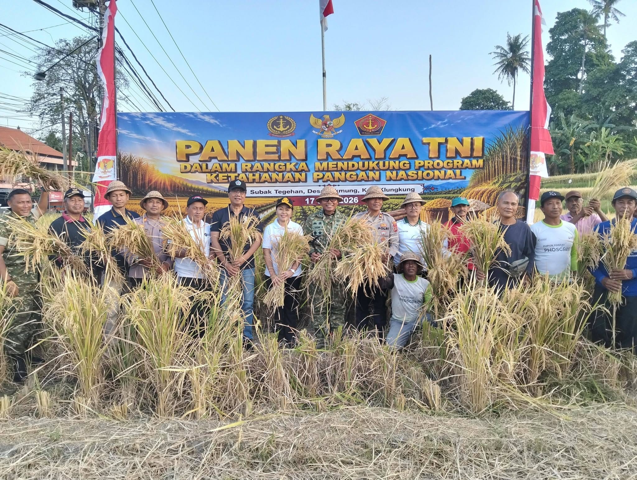 Dukung Ketahanan Pangan Nasional, Wakil Ketua DPRD Klungkung Hadiri Panen Raya TNI di Subak Tegehan
