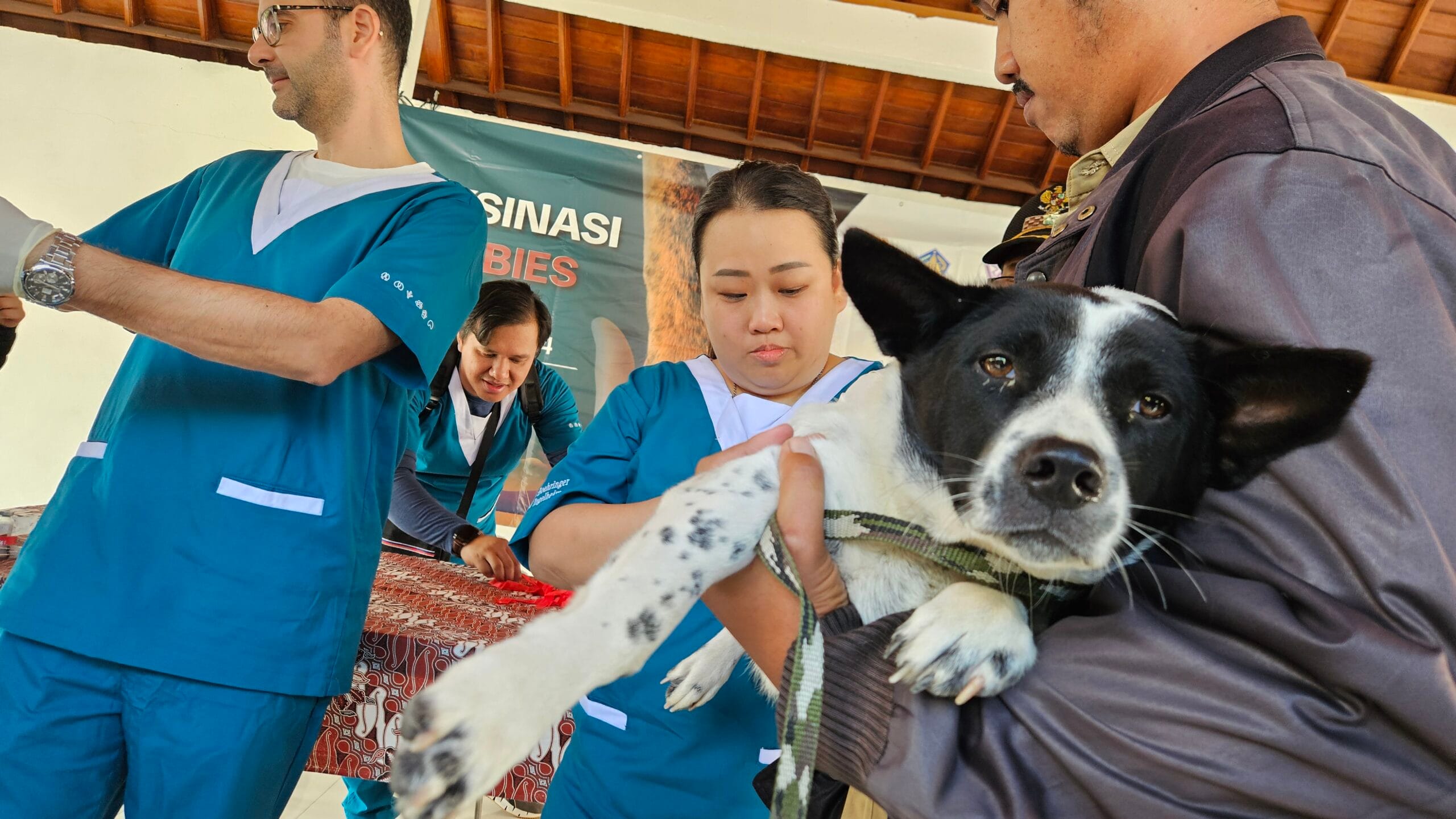 Target Bebas Rabies 2030 dari Desa, Pemkab Gianyar Sediakan Vaksinasi dan Sterilisasi Gratis