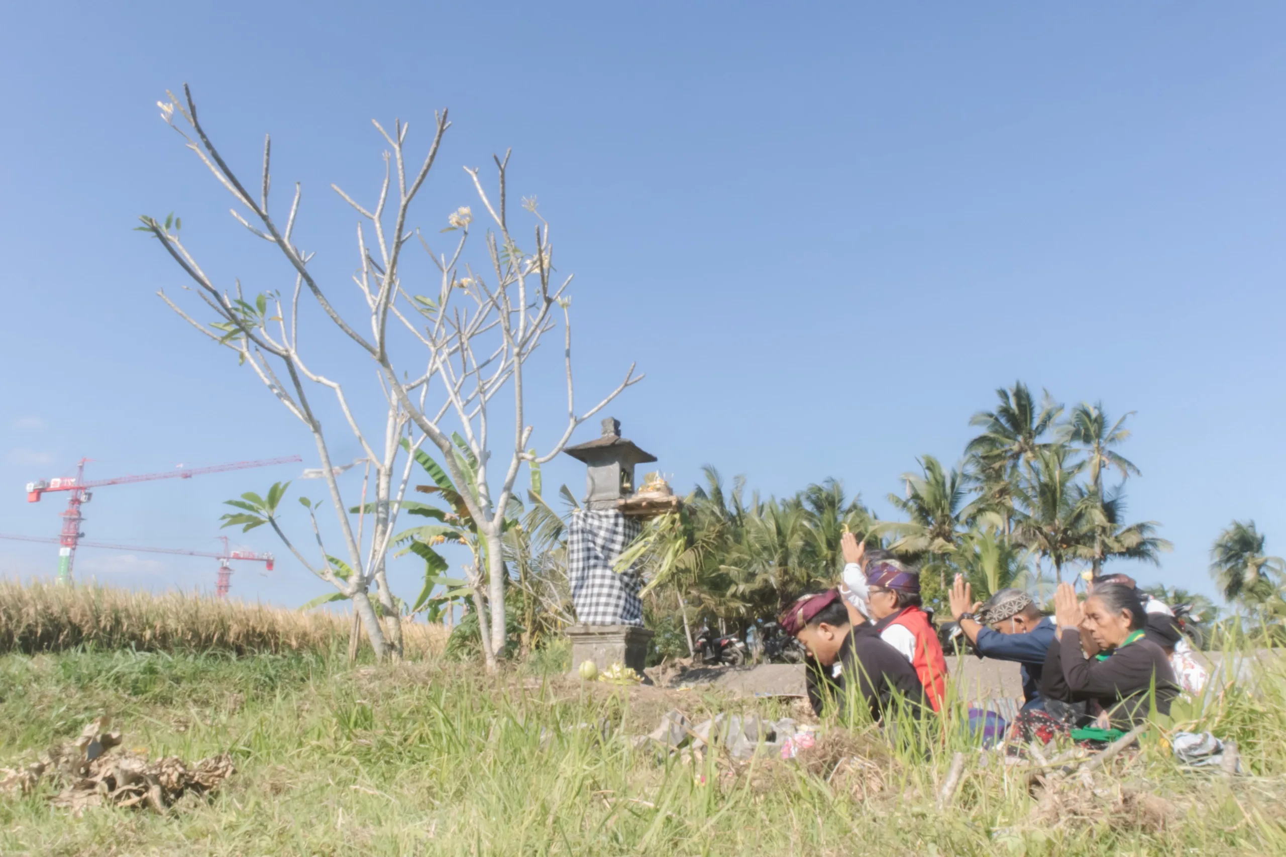 Pertahankan Tanah Leluhur dari Proyek GOR, Petani Bakbakan Ketuk Pintu Keadilan lewat Sembahyang di Pelinggih Bhatari Sri