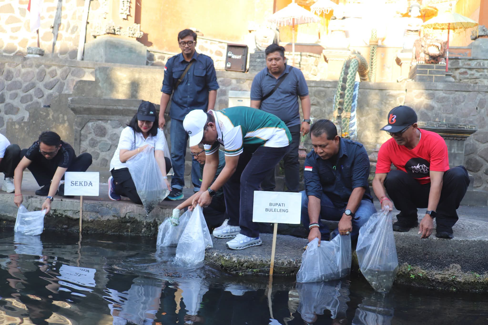 Lestarikan Perairan Suci, Bupati Buleleng Pimpin Restocking Puluhan Ribu Ikan Nila di Tirta Sudamala